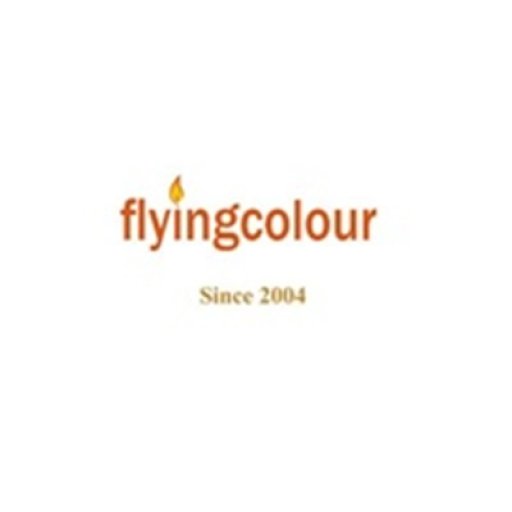 Flying Colour Business Setup