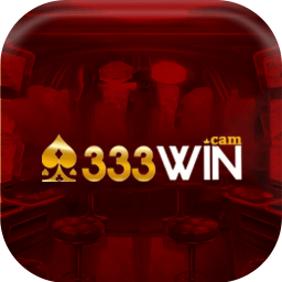 333wincam