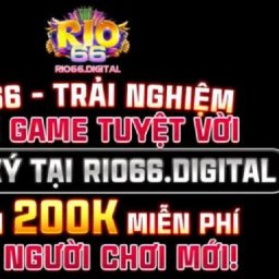 rio66tel