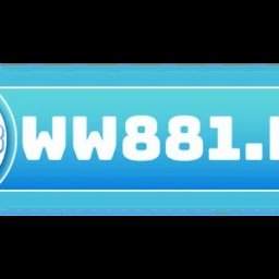 ww881net11