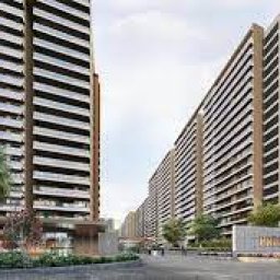 prestigeevegreen