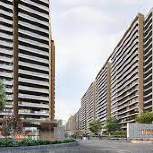 prestigeevegreen