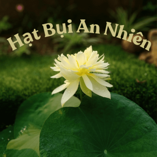 hatbuiannhien