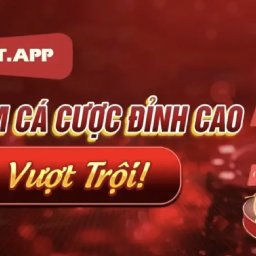 mibet8app