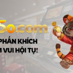 555onetbr