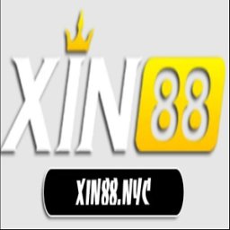 xin88nyc