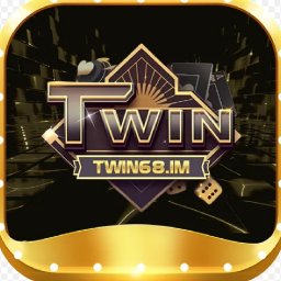 twin68im