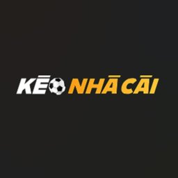 dangkykeonhacai