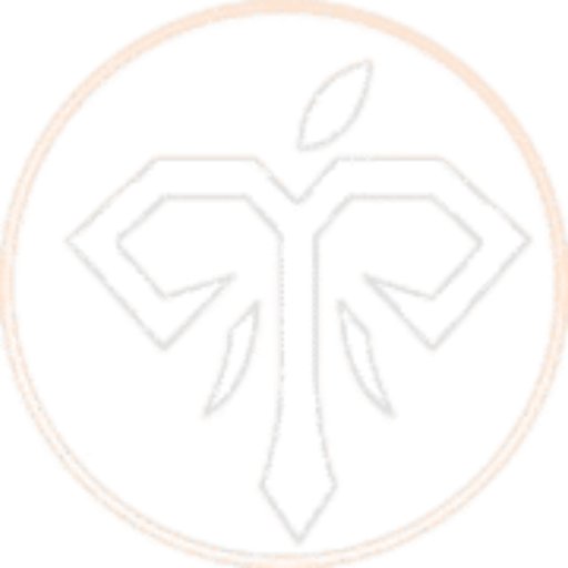 tanvoishopcom