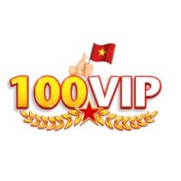 100vipdesign