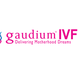 gaudiumivfcentre