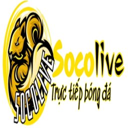 Socolivetructiep