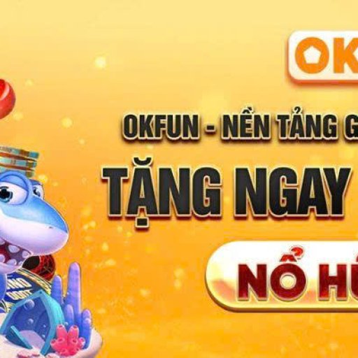 okfuncam