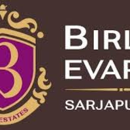 evara birla