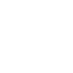 albas professional cleaning service