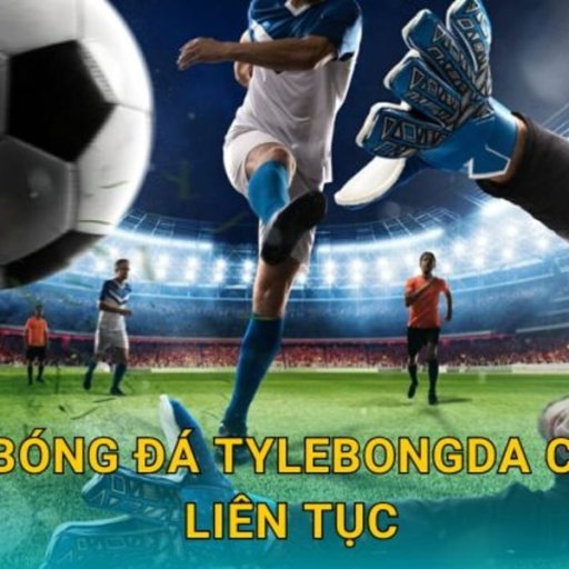 tylebongdacocom