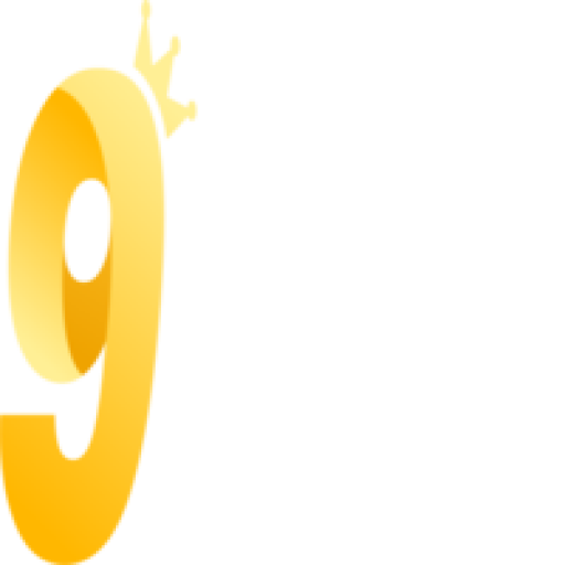 9wincncom