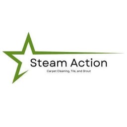 SteamActionCarpetCleaning