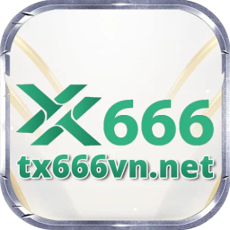 tx666vnnet