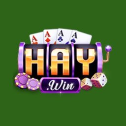 Haywin1ceo