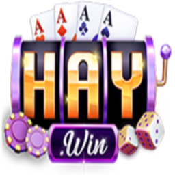 Haywin2agency