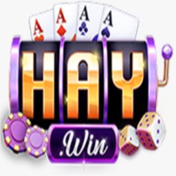 Haywin2dev