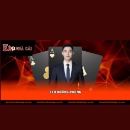 ceohoangphong