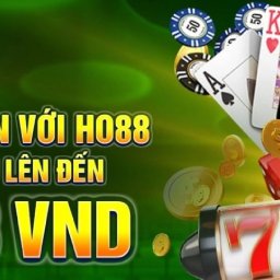 ho88iotop