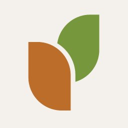 Planetfirst Consultant