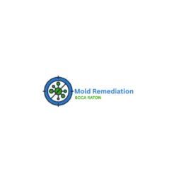 Best Mold Remediation Boca Raton
