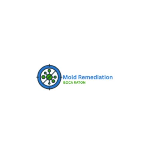 Best Mold Remediation Boca Raton