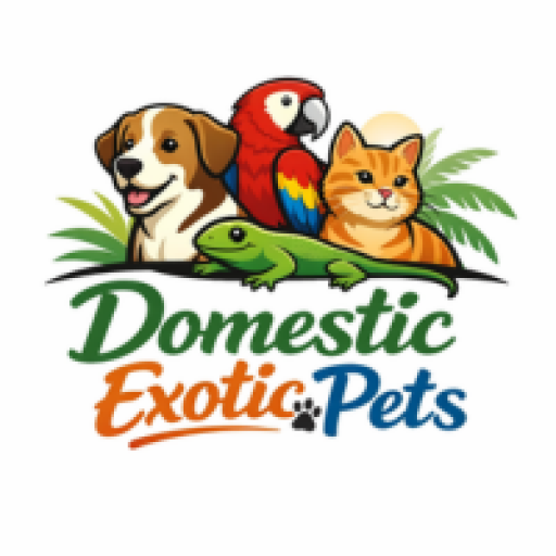 DomesticExoticPets