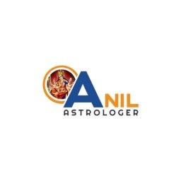 Anil Astrologer