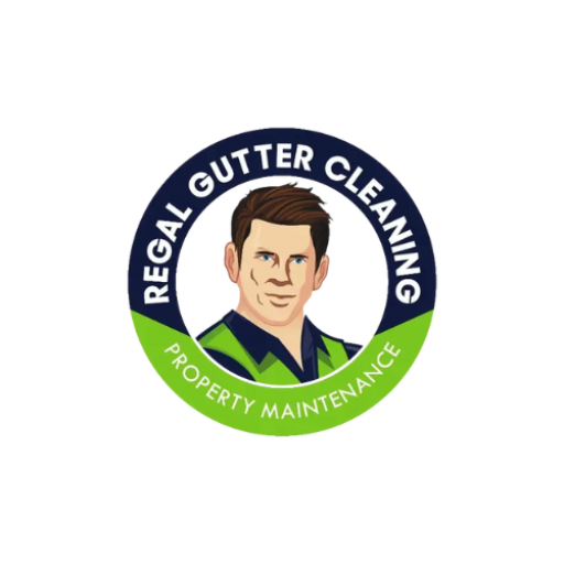 regalguttercleaning