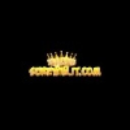 surewinitcom