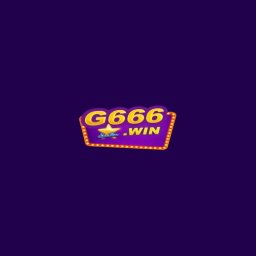 g6666net