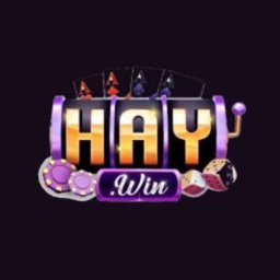 haywindecom