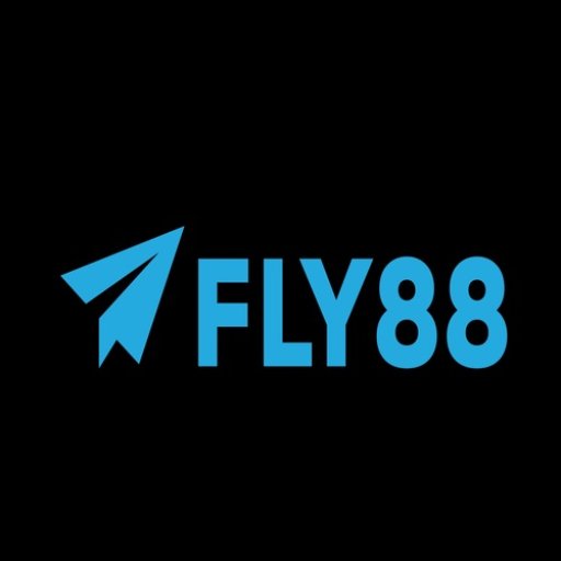fly8800net