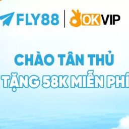 fly88commlive