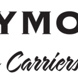 CityMove