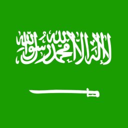 Vorrangiges Saudi Visumdsds