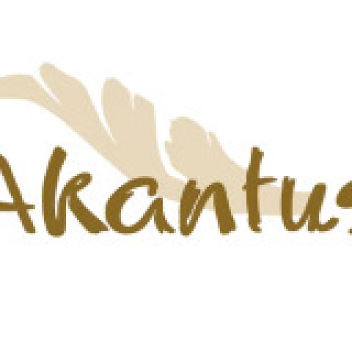 Akantus Weihnachtskrippen