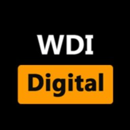 WebsiteDeveloperIndia