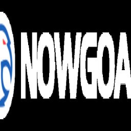 Nowgoalcapital