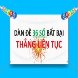 Dande36sobattucom