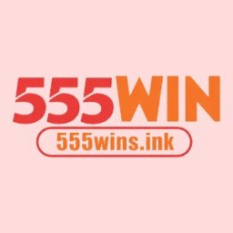 555winsink