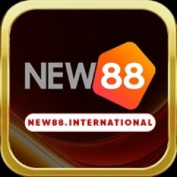 new88international