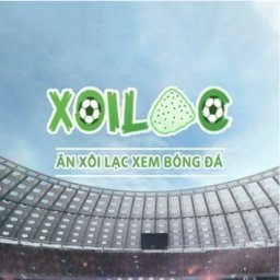 xoilactvgmocom