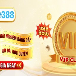 vs388app