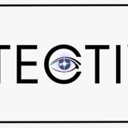 Detectiveeye